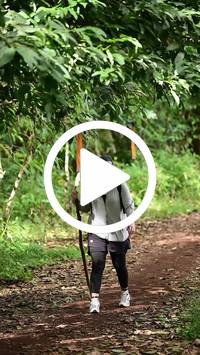 BIB:  <button type="button" onclick="openModal(27283544)" class="btn btn-primary btn-sm float-right" data-toggle="modal" data-target=".modal-high-quality">
                <i class="fa fa-download"></i> Download
                </button>